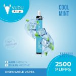 VUDU Filter 2500 Puffs Disposable- Cool Mint
