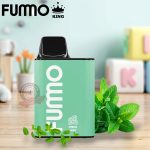 fummo king 6000 puffs Fresh Mint