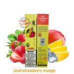 Tokyo E liquid 3mg 60ml Iced Strawberry Mango