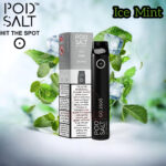 Pod Salt Go Disposable Vape 2500 Puffs Ice Mint