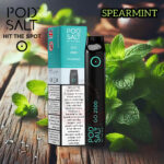 Pod Salt Go Disposable Vape 2500 Puffs Spearmint
