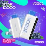 VOZOL STAR 12000 Puffs Disposable Kit Blueberry Storm