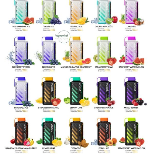 Vozol Gear Power 20000 Puffs Disposable Kit in Dubai