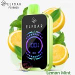 elf bar disposable vape fs18000 puffs Lemon Mint