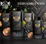 vicig charlie 15000 puffs disposable vape