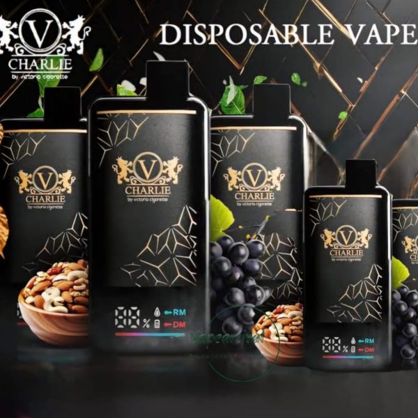 vicig charlie 15000 puffs disposable vape