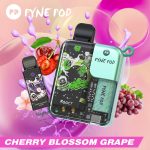 pyne pod 8000 puffs disposable kit