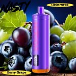 Nasty Hooqa 15000 Puffs Disposable Vape Berry Grape