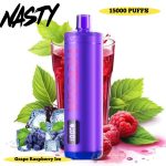 Nasty Hooqa 15000 Puffs Disposable Vape Grape Raspberry Ice