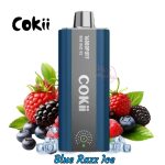 COKII 16000 Puffs Zero Nicotine Blue Razz Ice