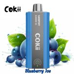 COKII 16000 Puffs Zero Nicotine Blueberry Ice