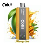 COKII 16000 Puffs Zero Nicotine Mango Ice