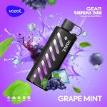 Vozol Gear Shisha 25000 Puffs Grape Mint