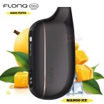 FLONQ Max 10000 Puffs Disposable Vape Mango Ice