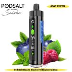 Pod Salt Shisha 8000 Puffs Disposable Vape Blueberry Raspberry Mint