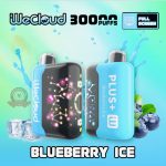 Wecloud 30000 Puffs Disposable Vape Blueberry Ice