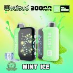 Wecloud 30000 Puffs Disposable Vape Mint Ice