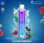 Hayati Pro Max 4000 Puffs Disposable Vape Blueberry Raspberry
