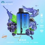 Hayati Pro Ultra 15000 Puffs- Mr Blue