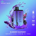 Hayati Pro Ultra 15000 puffs Disposable Vape Blueberry Raspberry
