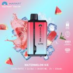 Hayati Pro Ultra 15000 puffs Disposable Vape Watermelon Ice