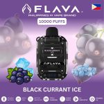 Flava Nimmbox 10000 Puffs Disposable Black Currant Ice