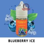 TESIYI E-Liquid Salt Nic 30ml Blueberry Ice