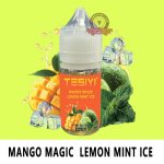 TESIYI E-Liquid Salt Nic 30ml Mango Magic Lemon Mint Ice