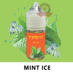 TESIYI E-Liquid Salt Nic 30ml Mint Ice