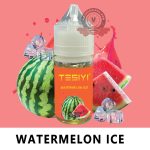 TESIYI E-Liquid Salt Nic 30ml Watermelon Ice