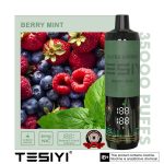 Tesyi Ultra Shisha 35000 Puffs Disposable Vape Berry Mint