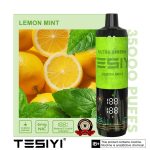 Tesyi Ultra Shisha 35000 Puffs Disposable Vape Lemon Mint
