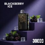 Elf Bar 30000 Puffs Raya D3 Pro Blackberry Ice