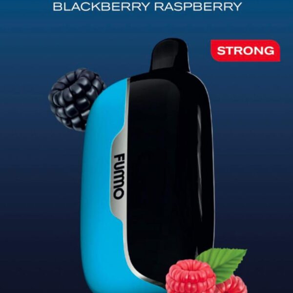 Fummo Power 15000 Puffs Disposable Vape Blackberry Raspberry