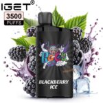 IGET Bar 3500 Puffs Disposable Vape Blackberry Ice