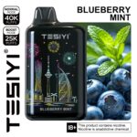 TESIYI ULTRA MAX 40000 Puffs Disposable Blueberry Mint