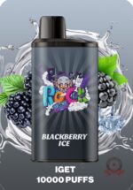 IGET BAR PRO 10000 Puffs Disposable Blackberry Ice