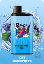 IGET BAR PRO 10000 Puffs Disposable Blueberry Ice