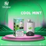 Silvaper 15000 Puffs Disposable Vape Cool Mint