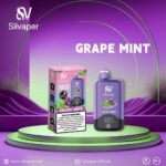 Silvaper 15000 Puffs Disposable Vape Grape Mint