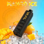 VAAL Cyber Shisha 50000 Puffs Disposable Mango Ice