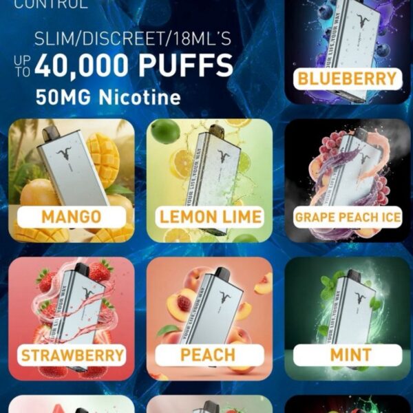 ignite ice 40000 puffs disposable vape