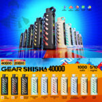 VOZOL Gear Hookah 40000 Puffs Disposable Vape