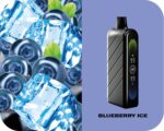 Fummo Nova 50K Puffs Disposable Vape Blueberry Ice