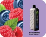 Fummo Nova 50K Puffs Disposable Vape Blueberry Raspberry
