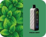 Fummo Nova 50K Puffs Disposable Vape Fresh Mint
