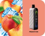 Fummo Nova 50K Puffs Disposable Vape Peach Ice