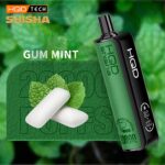 HQD Shisha 20000 Puffs Disposable Vape Gum Mint