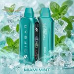 Rif Bar Turbo X Slim 12000 Puffs Disposable Vape Miami Mint