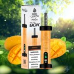 HOK Clouds HoQa 80000 Puffs Disposable Vape Mango